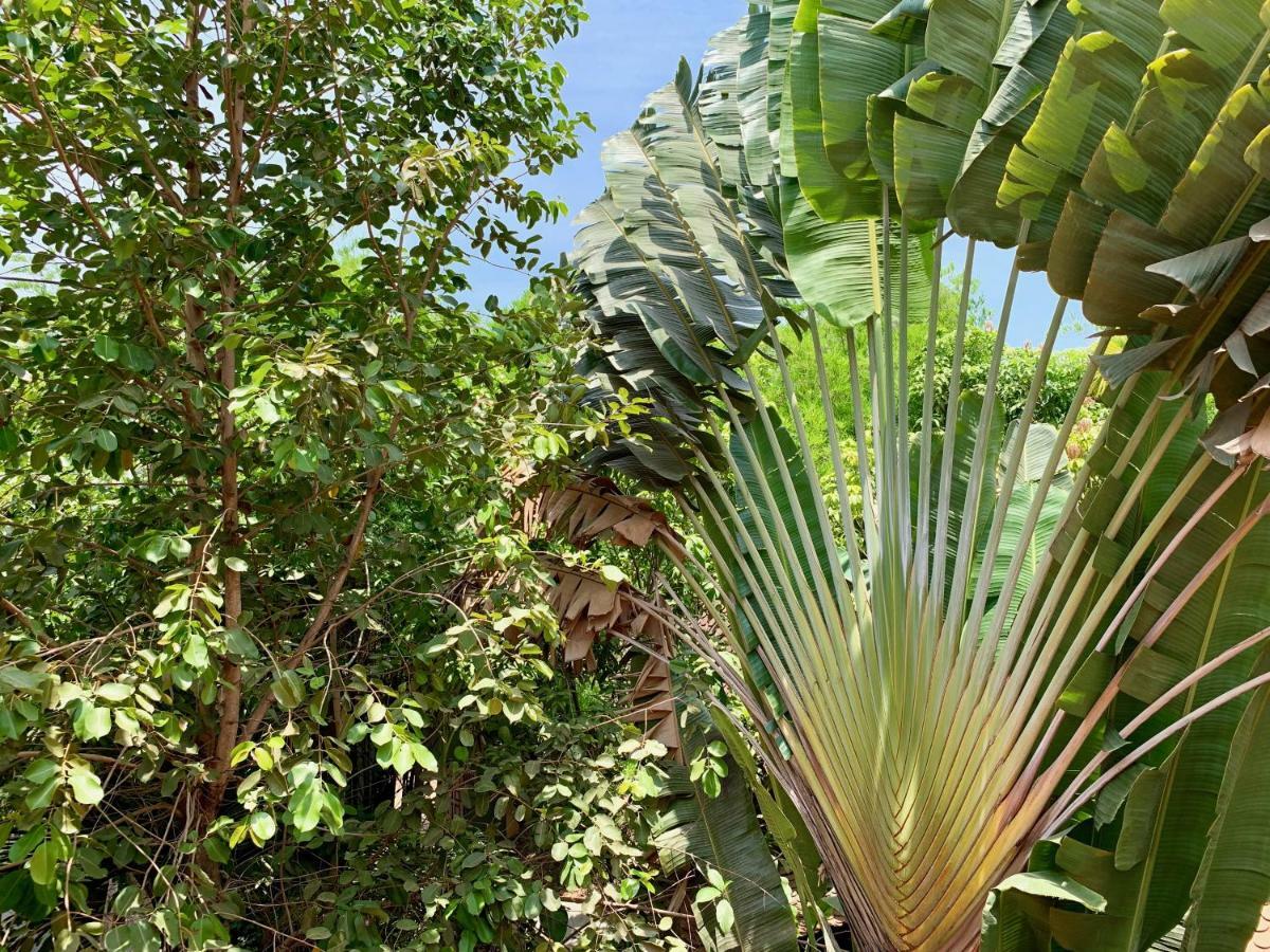 Petit Villa Boutique & Spa Siem Reap Luaran gambar